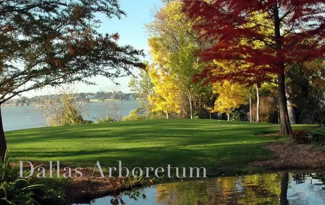 Dallas Arboretum Texas: A Nature Lover’s Paradise